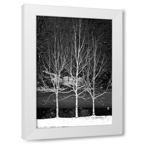 Central Park Three Amigos Winter White Modern Wood Framed Art Print by Grey, Jace