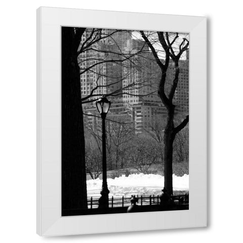 Central Park Concrete Forest White Modern Wood Framed Art Print by Grey, Jace