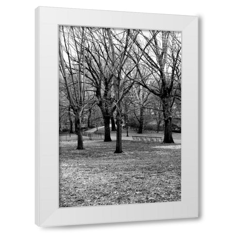 Central Park Image 013 White Modern Wood Framed Art Print by Grey, Jace