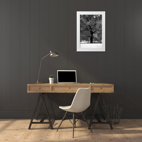 Central Park Solitary Friend White Modern Wood Framed Art Print by Grey, Jace