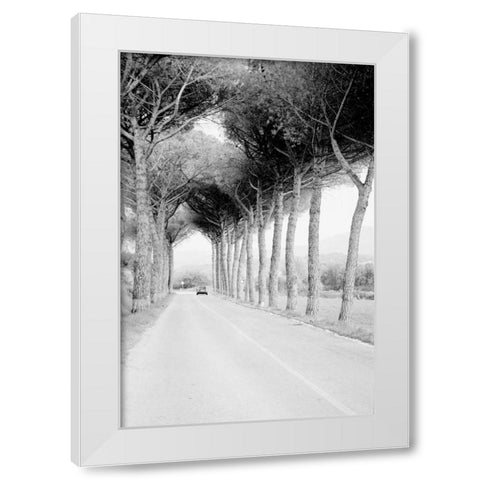 Italy 33 White Modern Wood Framed Art Print by Grey, Jace