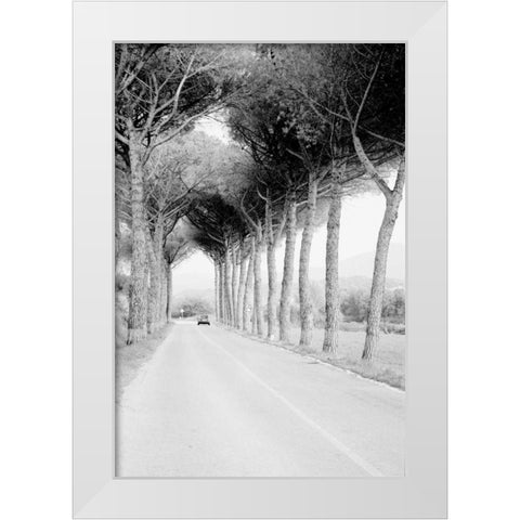 Italy 33 White Modern Wood Framed Art Print by Grey, Jace