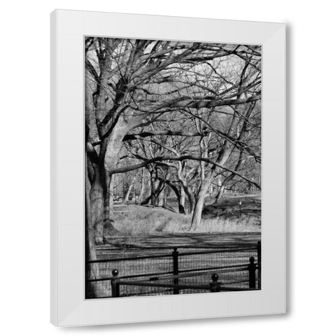 Central Park Image 1745 White Modern Wood Framed Art Print by Grey, Jace