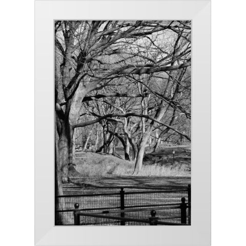 Central Park Image 1745 White Modern Wood Framed Art Print by Grey, Jace