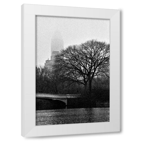 Central Park Bridge I White Modern Wood Framed Art Print by Grey, Jace
