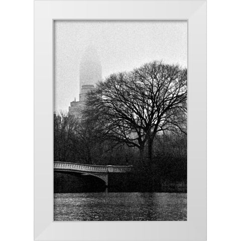 Central Park Bridge I White Modern Wood Framed Art Print by Grey, Jace