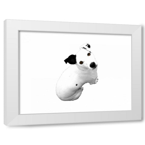 Jack Russell Buddy 1 White Modern Wood Framed Art Print by Grey, Jace