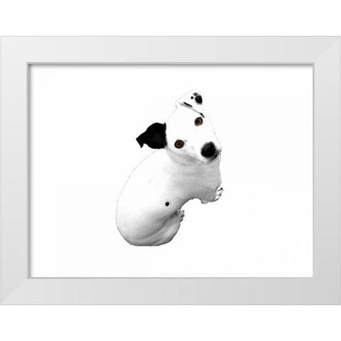 Jack Russell Buddy 1 White Modern Wood Framed Art Print by Grey, Jace