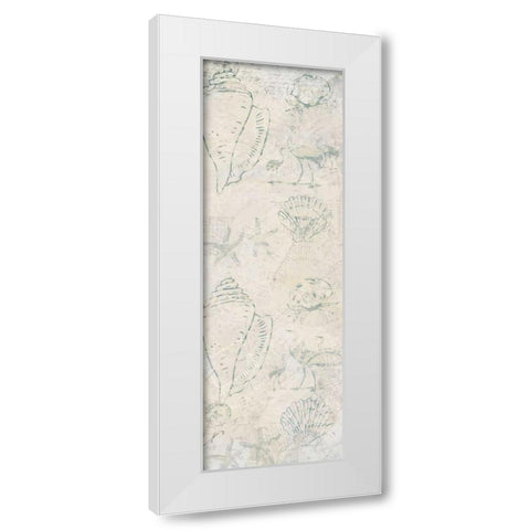 Coastal Shells White Modern Wood Framed Art Print by Allen, Kimberly