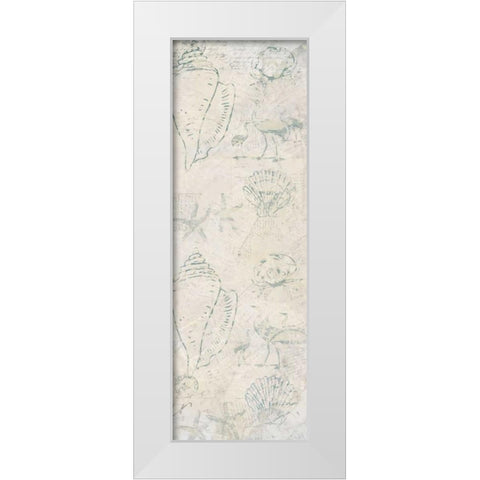 Coastal Shells White Modern Wood Framed Art Print by Allen, Kimberly