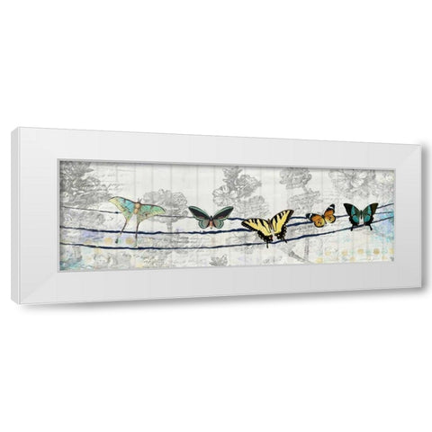 Butterfly Day White Modern Wood Framed Art Print by Allen, Kimberly