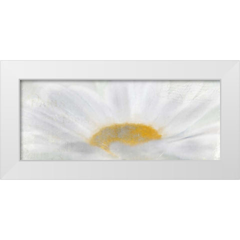 From Paris White Modern Wood Framed Art Print by Allen, Kimberly