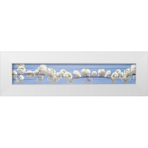White Blossoms White Modern Wood Framed Art Print by Kimberly, Allen