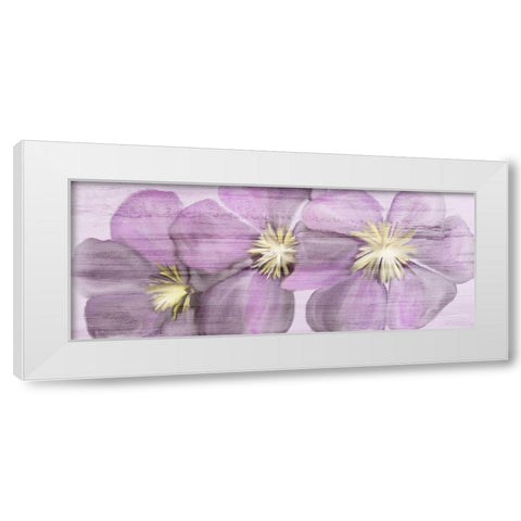 Violet Clematis White Modern Wood Framed Art Print by Kimberly, Allen