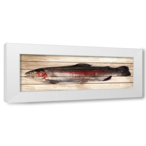 Trout 2 White Modern Wood Framed Art Print by Allen, Kimberly