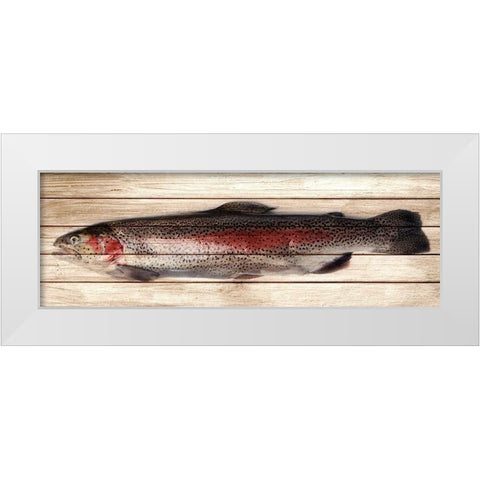 Trout 2 White Modern Wood Framed Art Print by Allen, Kimberly