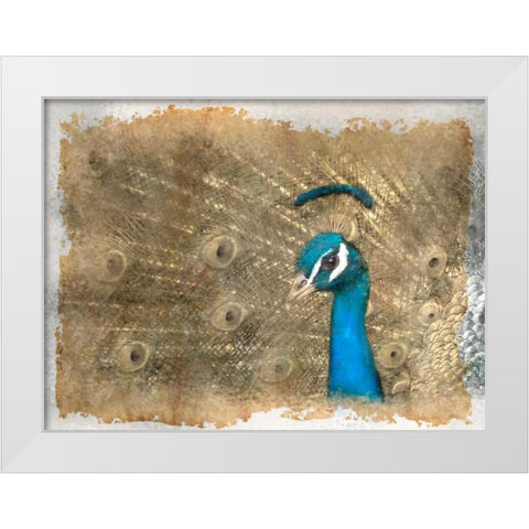 Antique Peaccock White Modern Wood Framed Art Print by Allen, Kimberly