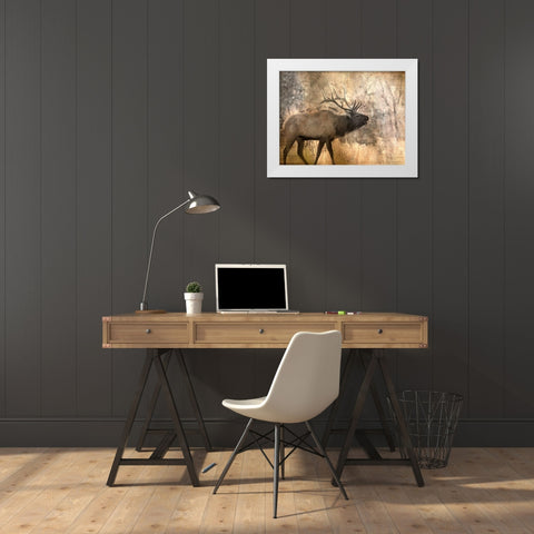 Morning Walk White Modern Wood Framed Art Print by Allen, Kimberly