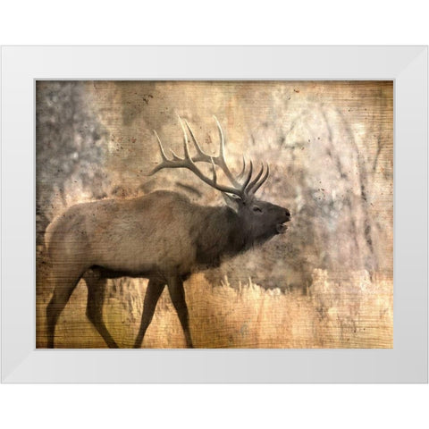 Morning Walk White Modern Wood Framed Art Print by Allen, Kimberly