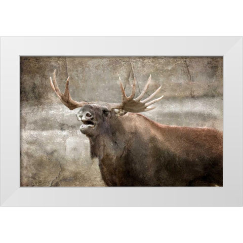 Winters Day White Modern Wood Framed Art Print by Allen, Kimberly