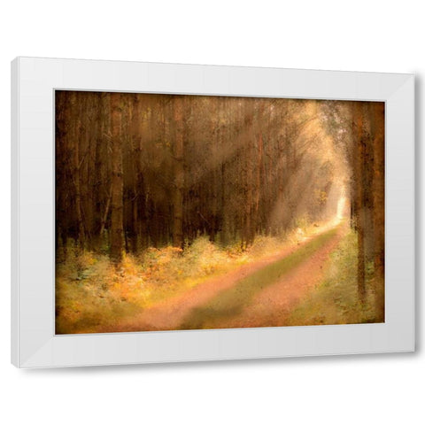 Road To Enlightenment White Modern Wood Framed Art Print by Allen, Kimberly