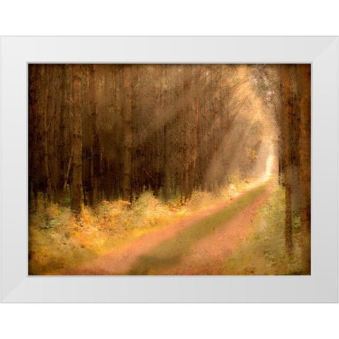 Road To Enlightenment White Modern Wood Framed Art Print by Allen, Kimberly