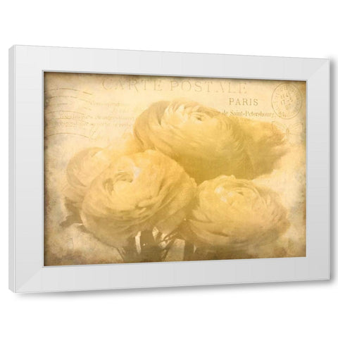Ranunkeln Blooms White Modern Wood Framed Art Print by Allen, Kimberly