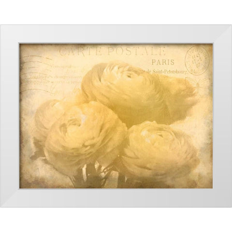 Ranunkeln Blooms White Modern Wood Framed Art Print by Allen, Kimberly