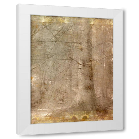 In the Forest White Modern Wood Framed Art Print by Allen, Kimberly