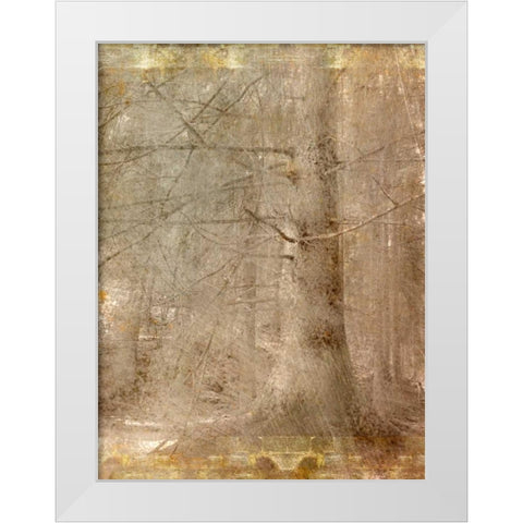 In the Forest White Modern Wood Framed Art Print by Allen, Kimberly
