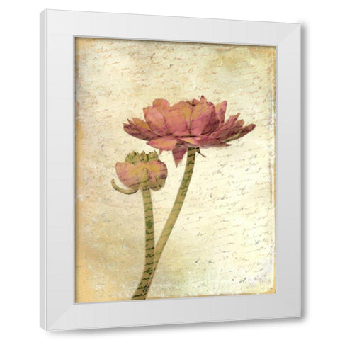 Ranunculus Bloom 1 White Modern Wood Framed Art Print by Allen, Kimberly