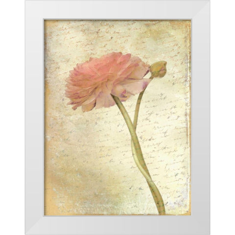 Ranunculus Bloom 2 White Modern Wood Framed Art Print by Allen, Kimberly