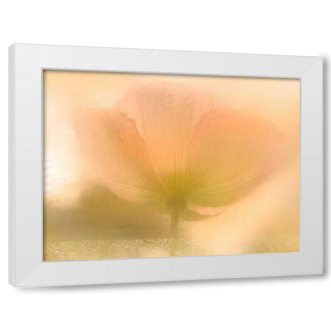 Golden Poppy White Modern Wood Framed Art Print by Allen, Kimberly