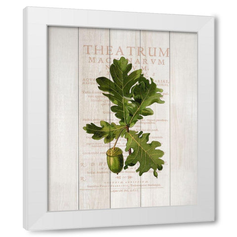 Fall Botanical 1 White Modern Wood Framed Art Print by Kimberly, Allen