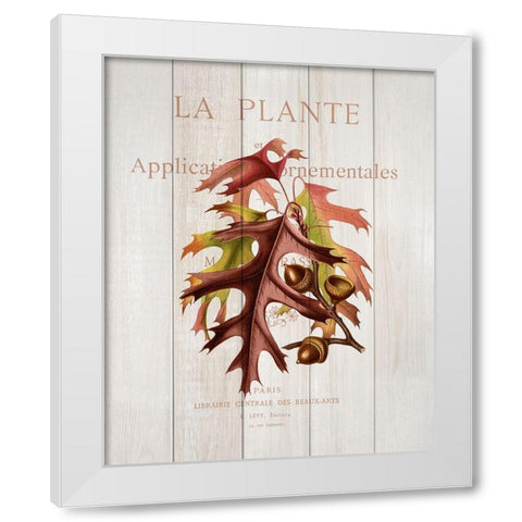Fall Botanical 2 White Modern Wood Framed Art Print by Kimberly, Allen