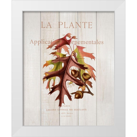 Fall Botanical 2 White Modern Wood Framed Art Print by Kimberly, Allen