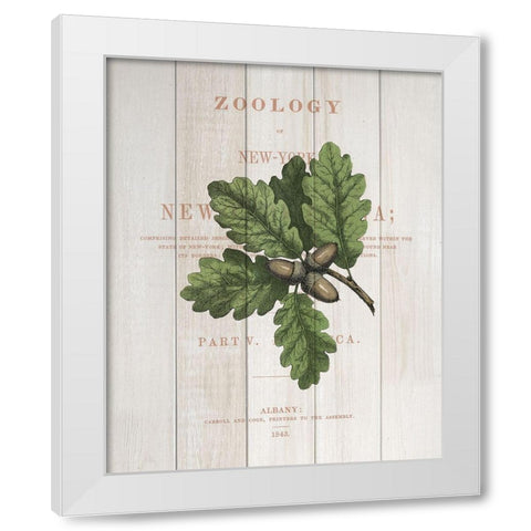 Fall Botanical 3 White Modern Wood Framed Art Print by Kimberly, Allen