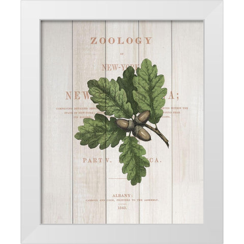 Fall Botanical 3 White Modern Wood Framed Art Print by Kimberly, Allen