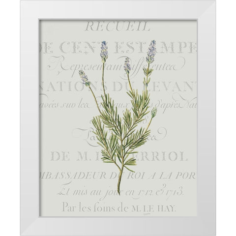 Fresh Herbs 1 White Modern Wood Framed Art Print by Kimberly, Allen