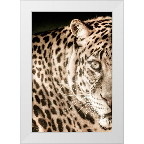 Leo A White Modern Wood Framed Art Print by Kimberly, Allen