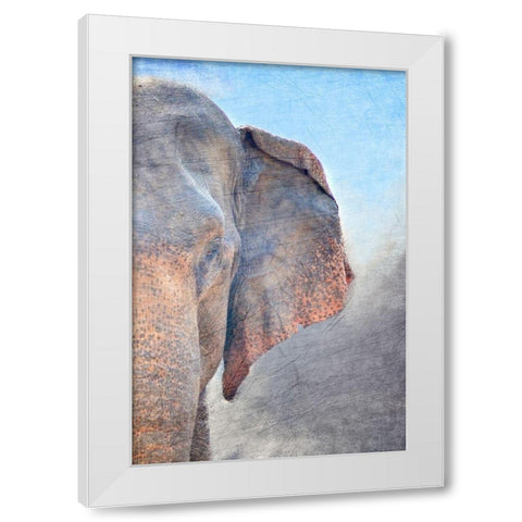 African Elephant B White Modern Wood Framed Art Print by Kimberly, Allen