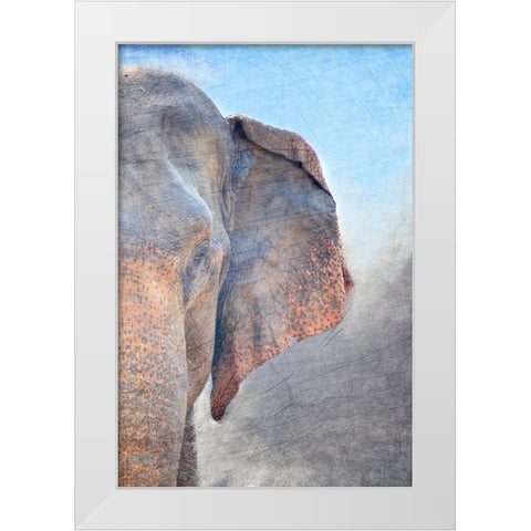 African Elephant B White Modern Wood Framed Art Print by Kimberly, Allen