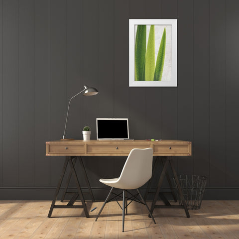 Fern Leaves White Modern Wood Framed Art Print by Allen, Kimberly