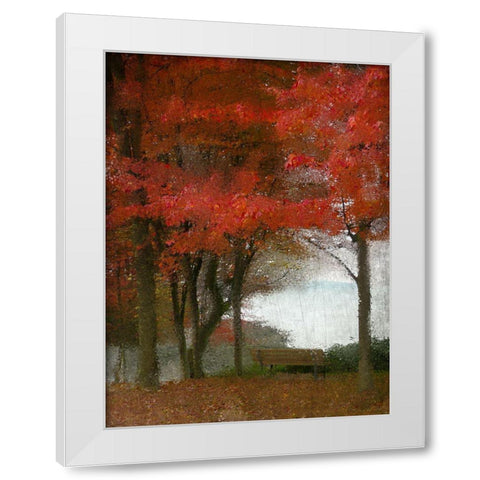 Maple Tree Walk White Modern Wood Framed Art Print by Kimberly, Allen