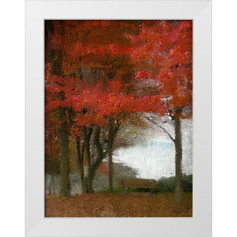 Maple Tree Walk White Modern Wood Framed Art Print by Kimberly, Allen