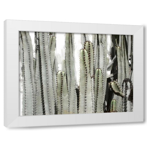 Desert Day White Modern Wood Framed Art Print by Allen, Kimberly