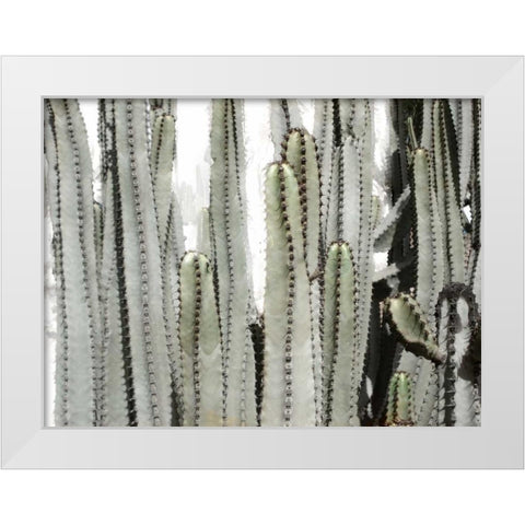 Desert Day White Modern Wood Framed Art Print by Allen, Kimberly