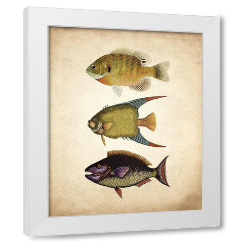Fish A White Modern Wood Framed Art Print by Kimberly, Allen