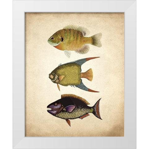 Fish A White Modern Wood Framed Art Print by Kimberly, Allen