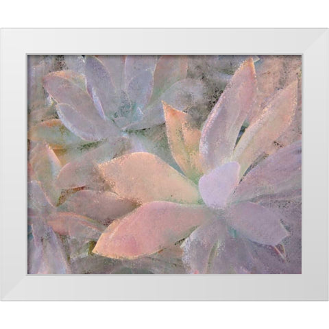 Succulents White Modern Wood Framed Art Print by Allen, Kimberly